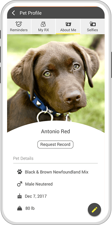 Breton Veterinary Hospital App Pet Profile Screen