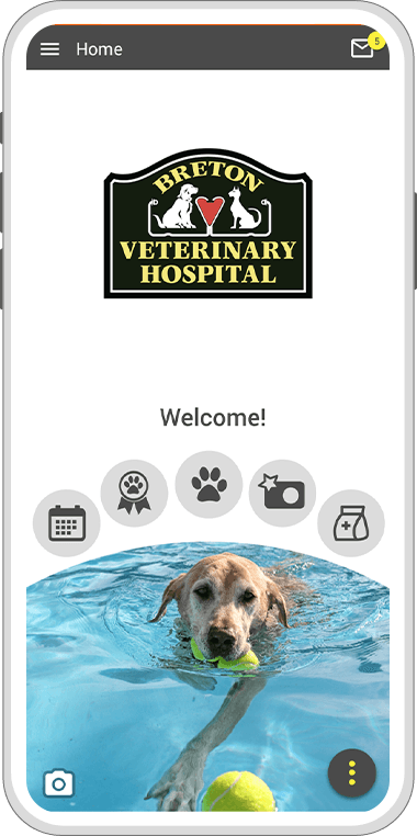 Breton Veterinary Hospital App Home Screen