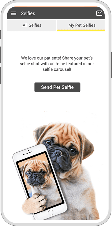 Breton Veterinary Hospital App Send a Pet Selfie Screen
