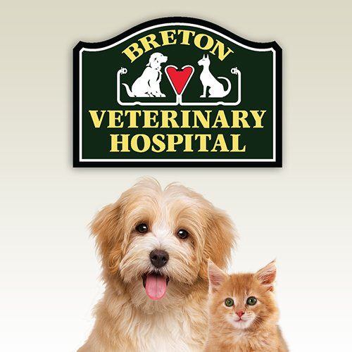 Vet Clinic in Leonardtown & California, MD | Animal Hospital